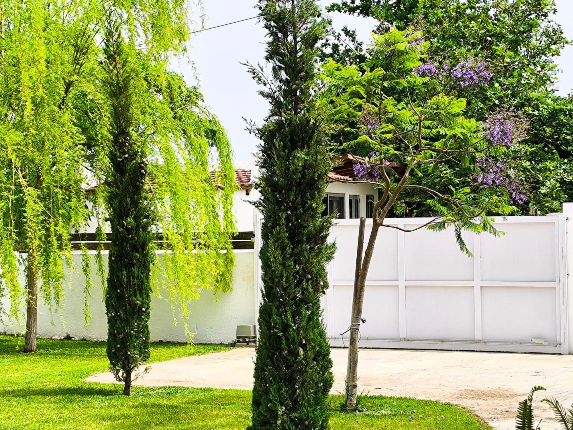 Seaside Jacaranda Apartment Скиниас Екстериор снимка